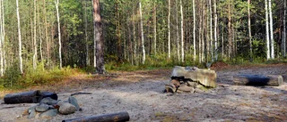 Återuppliva elljusspåret!