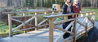 Ännu en park renoveras i Skellefteå: ”Vi gör ett klassrum utomhus för skolor och förskolor” • Blir även fler grillplatser