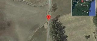 Fallna träd skapar problem i trafiken