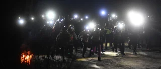 Alla resultat från Drängsmarksterrängen Night Edition