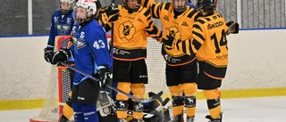 AIK vann den prestigefyllda matchen – Clemensnäs räckte inte till • forwarden hattrickhjälte