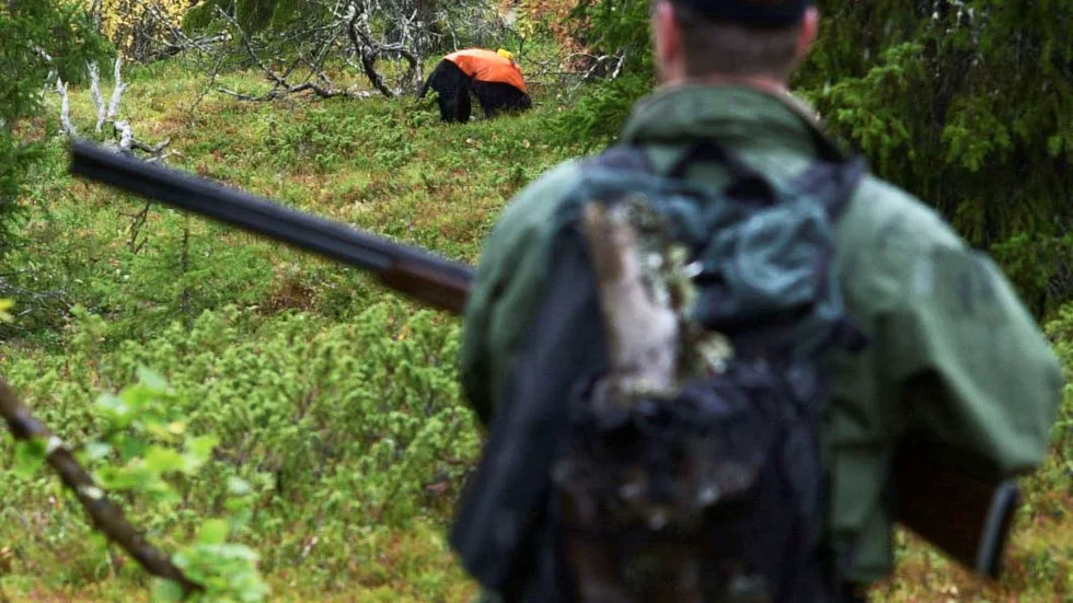 RIPJAKT. En jägare blev vådaskjuten av sin jaktkamrat. Bilden är från ett annat tillfälle. (Arkivbild)