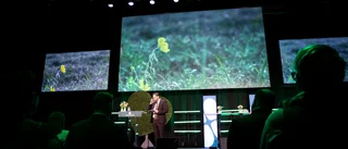 Spaningen om Demirok: "SD avgör hans framtid"