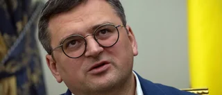 Kuleba vill se fredsmöte i FN