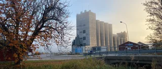 Miljonutredning ska svara på frågor om hamnen