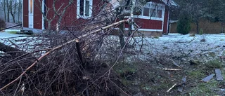 Påverkad bilist körde ner staket och träd: "Såg att det låg en bil i trädgården"