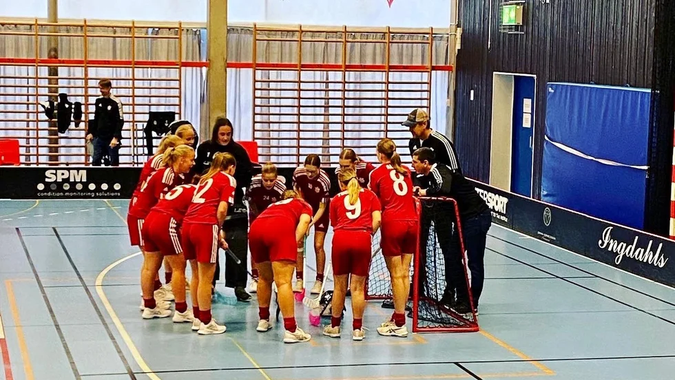 I helgen stod det klart att Strängnäs IBK:s damer som nykomling tar hem division 2 Södermanland. Ingen av spelarna i truppen är äldre än 20 år.