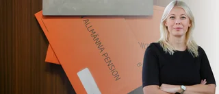 "Den franska regeringens drag ska inte ses som en inspiration"