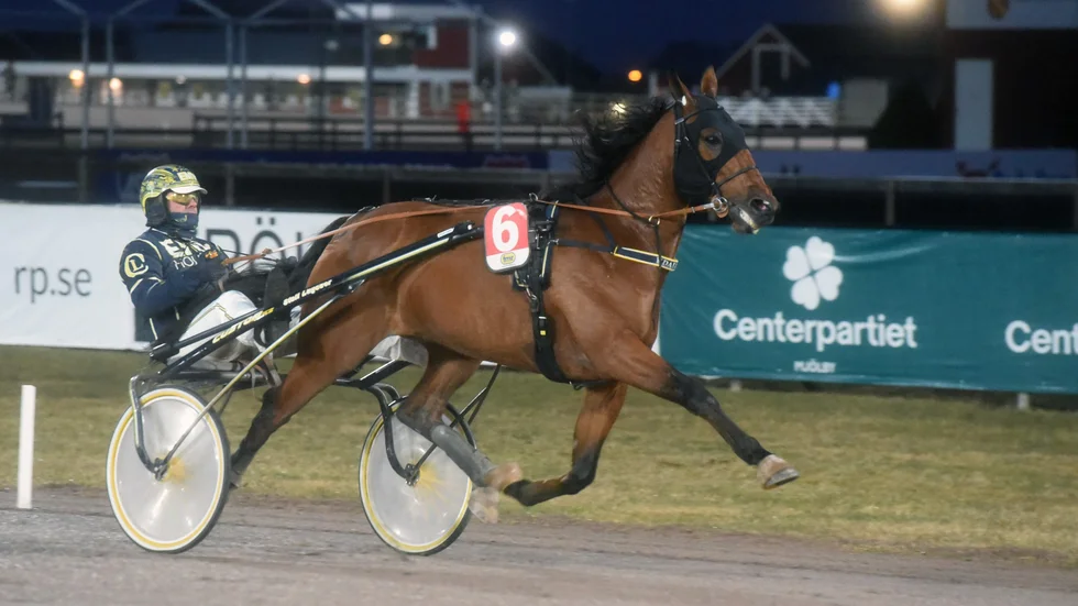 Hidalgo Heldia visade ifjol enorma fartresurser. Under måndagen glänste den kraftfulle valacken när han vann överlägsen i sin årsdebut för tränaren Conrad Lugauer. 