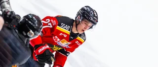Hyllningen: "Banans gigant"