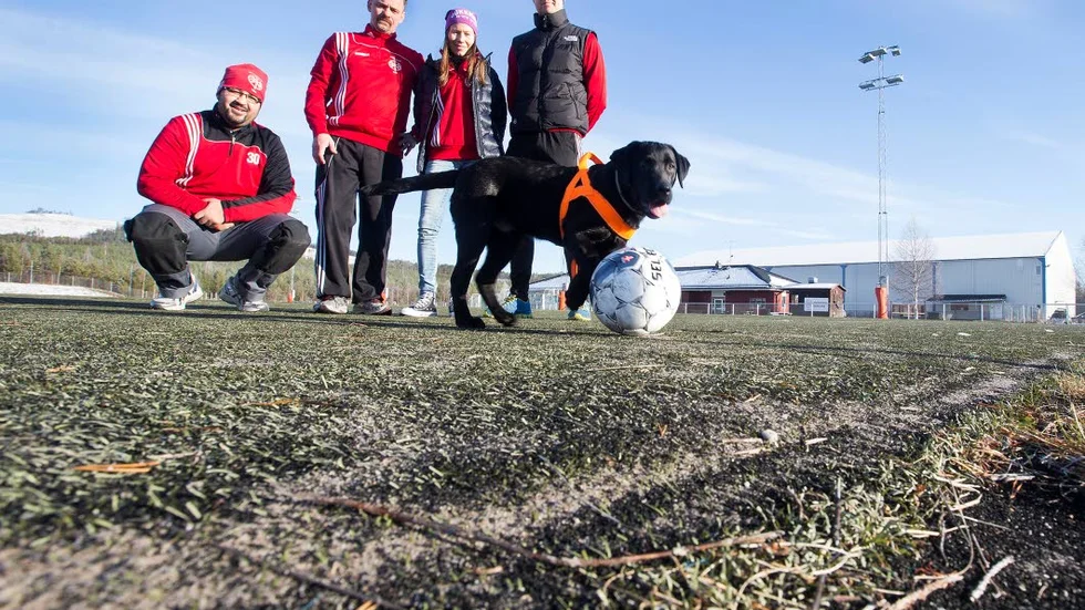 NY MATTA? Jokkmokks fotboll har länge kämpat för en ny konstgräsmatta. Här syns ledarna Andres Moncada Henao, Gunnar Lundström, Therese Rydström och Fredrik Andersson.