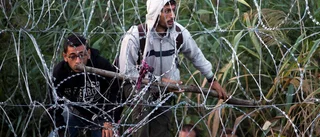 Drömmen om Europa