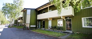 Lågt intresse för Luleås nya bostadsförmedling