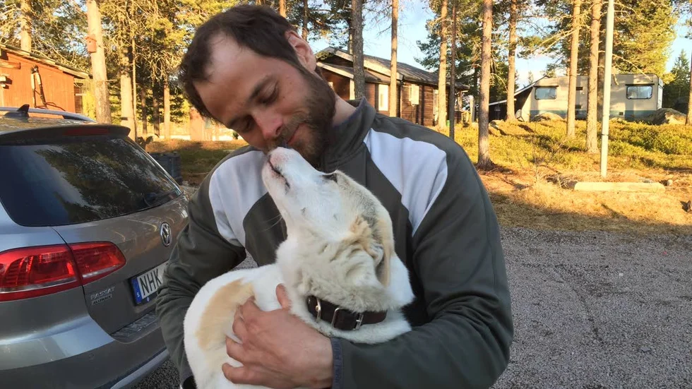Hemma igen. Hunden Sajjo återförenas med husse Lars Nila Sjaggo.