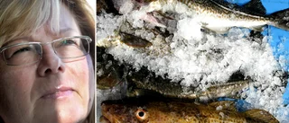 NY STUDIE • Kan man äta gotländsk fisk? • ”Gotlands fiskeflotta ett riksintresse”