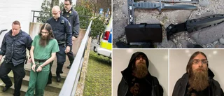 Allt du behöver veta om dag två • Förhör med Engström och Lööf • "Almedalen bästa platsen för en sagopojke att genomföra sitt hjältedåd"