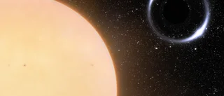 Astronomer har hittat det närmsta svarta hålet