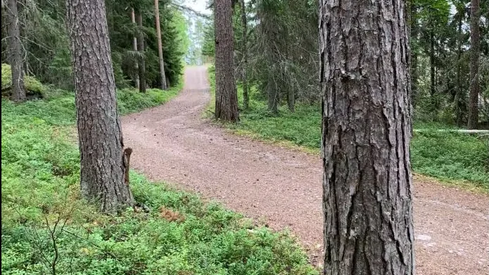 Det fanns inga vittnen till olyckan. Först på plats var två vårdnadshavare och sedan en ledig deltidsbrandman som befann sig i närheten. Han guidade ambulansen fram till olycksplatsen bland annat.