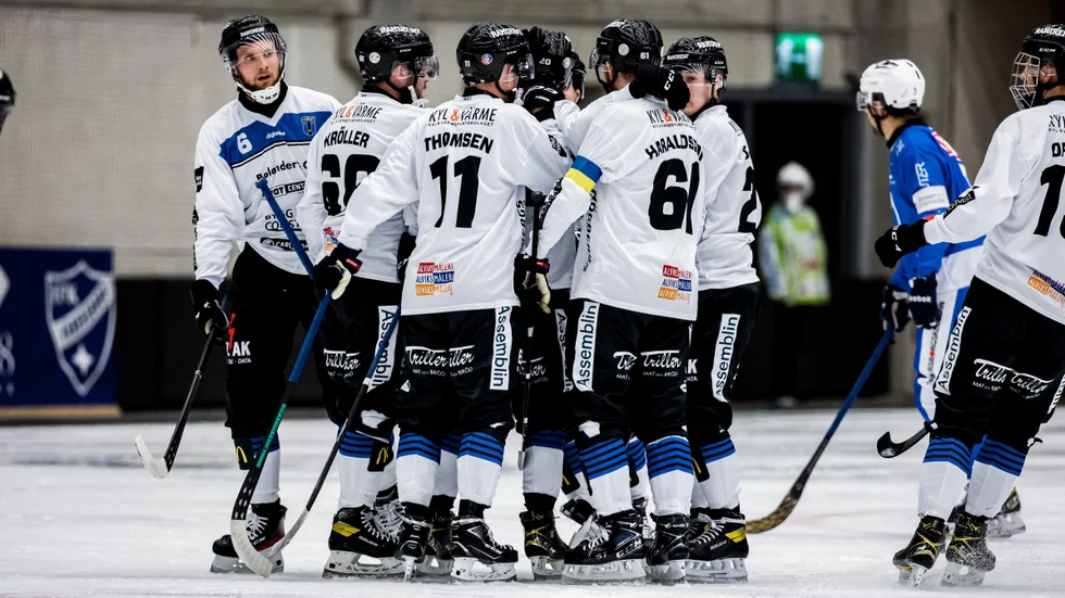 Sirius mötte Edsbyn.