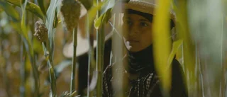 Arabisk film på bio