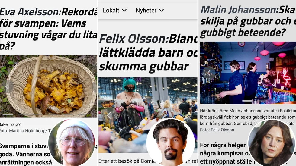 Har du missat våra bästa krönikor? Vi listar några av det gångna årets mest uppmärksammade texter från Eskilstuna-Kurirens kultur- och nöjesredaktion.