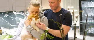 Vilken lussekatt: Pettsson hemma efter 2,5 år