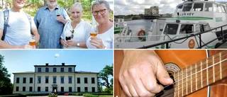 Räkfrossa, slottsvandring och Springsteen – vad gör du i helgen?