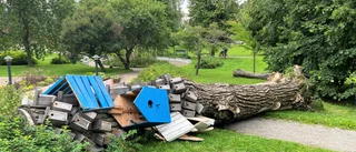 Luleås centrala holkhotell har brakat i backen
