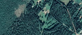 Nya ägare till lantbruksfastighet i Övertorneå - prislappen: 320 000 kronor