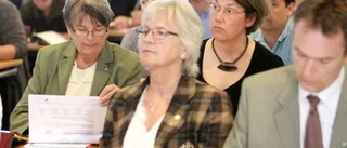 Veckoparkering för innerstadsbor - men inga gratistimmar för alla?