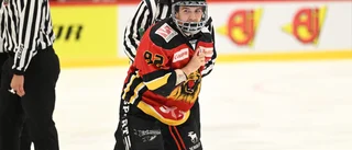 Lejon helt överlägsna mot Norsjö