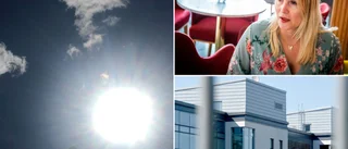 SD: "Regionen ska inte syssla med klimatalarmism"