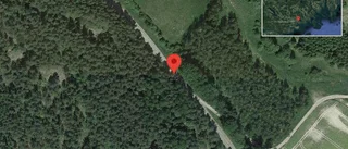 Fallna träd skapar problem i trafiken på väg 219