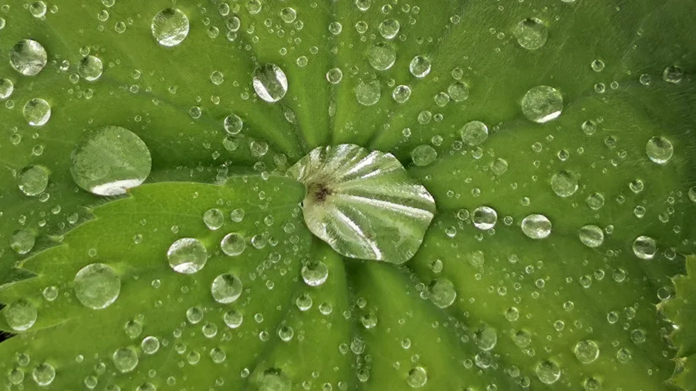 Dagens läsarbild.