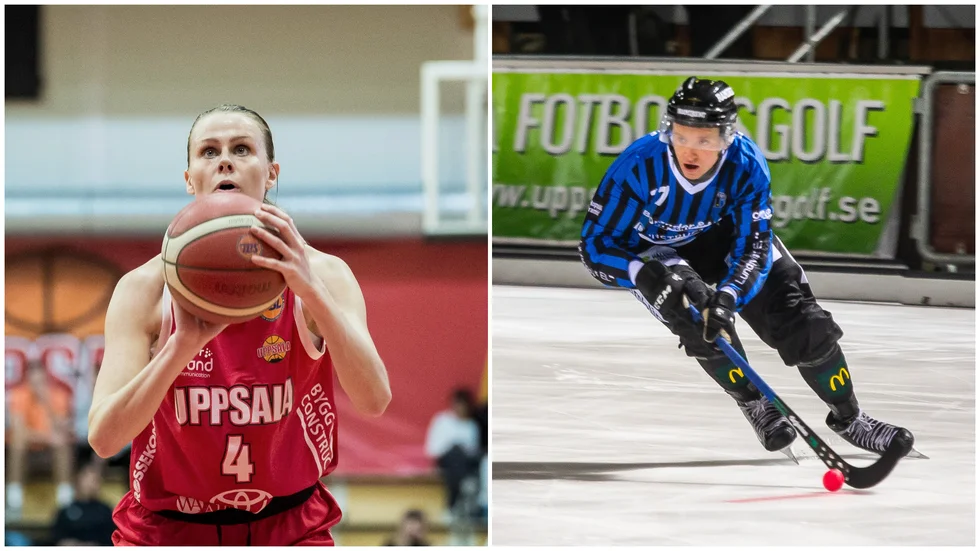 UNT har säkrat liverättigheterna till elitserierna i bandy liksom Svenska basketligan för damer och herrar.