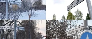 Listan: Årets vägbyggen i Skellefteå – här ska det grävas