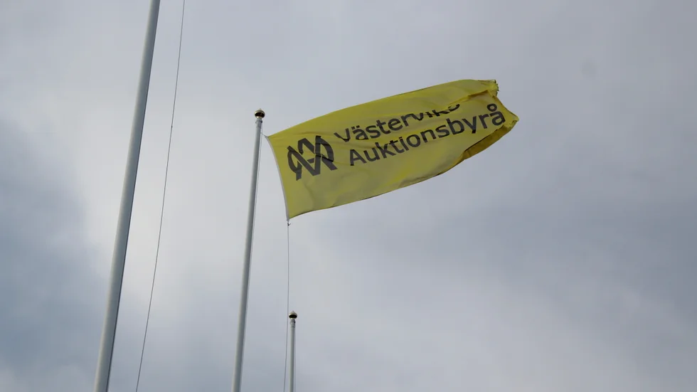 Anna Tjäder och hennes syskon anlitade Västerviks Auktionsbyrå för att ta hand om föräldrarnas dödsbo. Nu har de helt tappat förtroendet för företaget, som inte går att nå. "Det har varit sak, på sak, på sak", säger Anna. 