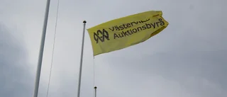 Polisen startar ingen utredning om auktionsbyrån