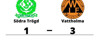 Södra Trögd föll hemma mot Vattholma