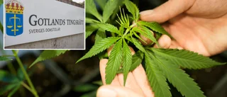 Döms för hembränning, knarkodling och vapenbrott