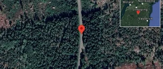 Nedfallna träd påverkar trafiken