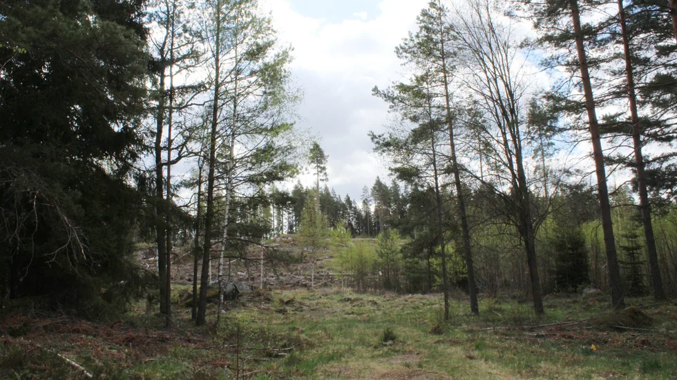 I ett stort område utanför Ankarsrum tänker sig Global food parks att anlägga sin verksamhet. Marken ägs av Linköpings stift. Arkivbild.