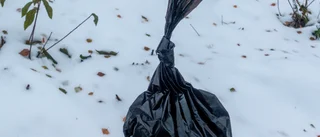 Lite skitprat om nyord och fekaliegömmor vid årsskiftet