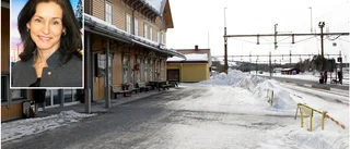 Inga liggvagnar på de nya nattågen till norr
