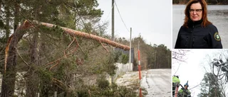 Test your survival skills with the 'Seven Days' challenge