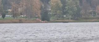Man på SUP-bräda orsakade drunkningslarm i Luleå 