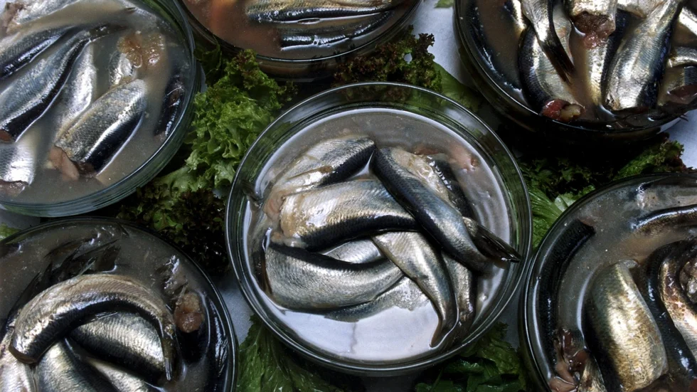 Flera personer har ringt till SOS Alarm och sagt att det luktar kattpiss eller surströmming i Örebro under natten till fredagen. Arkivbild.