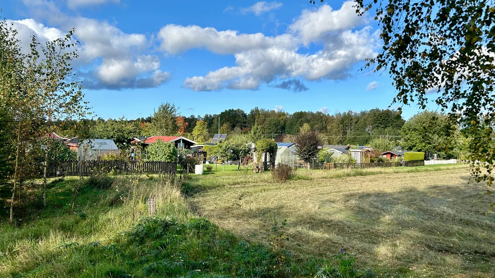 Det kommer att bli förändringar vid Mogetorps koloniområde. 