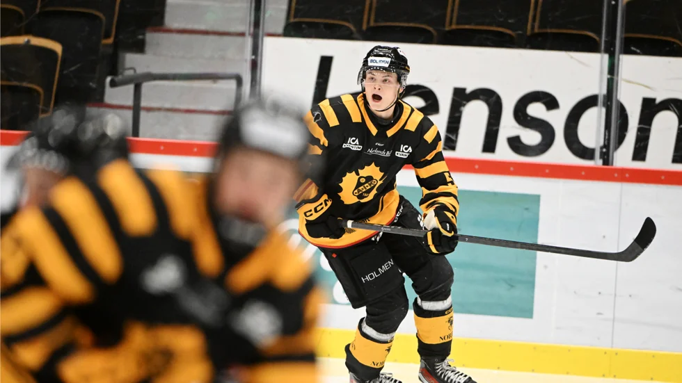 Skellefteå AIK hockey och friidrott ser ut att bli av med möjligheten att driva NIU-utbildningar i egen regi.