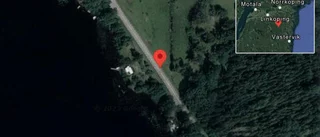 Fallna träd skapar problem i trafiken